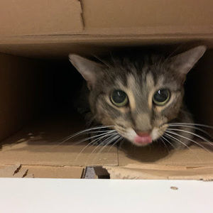 Meet your Posher, Haley